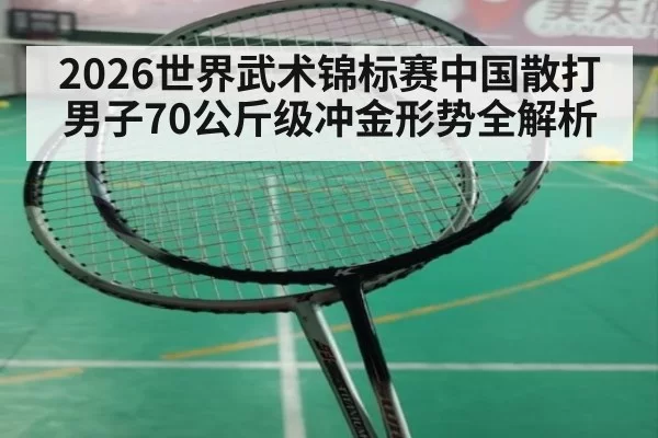 2026世界武术锦标赛中国散打男子70公斤级冲金形势全解析